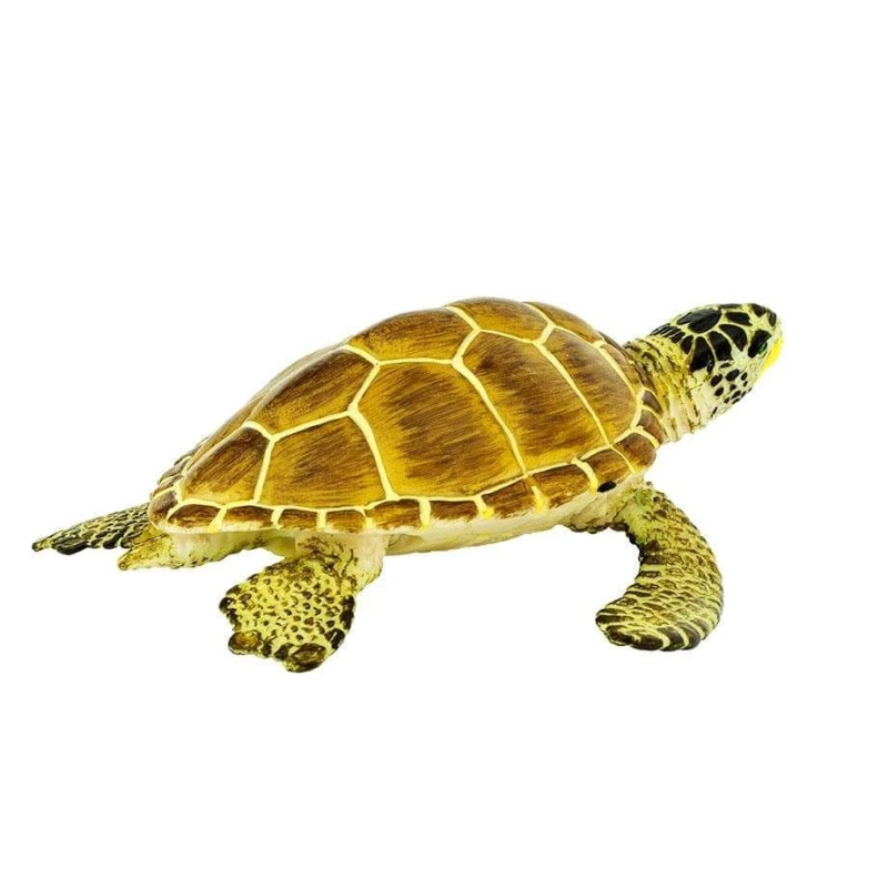 safari仿真远古海洋生物黄色海龟动物模型儿童早教仿真