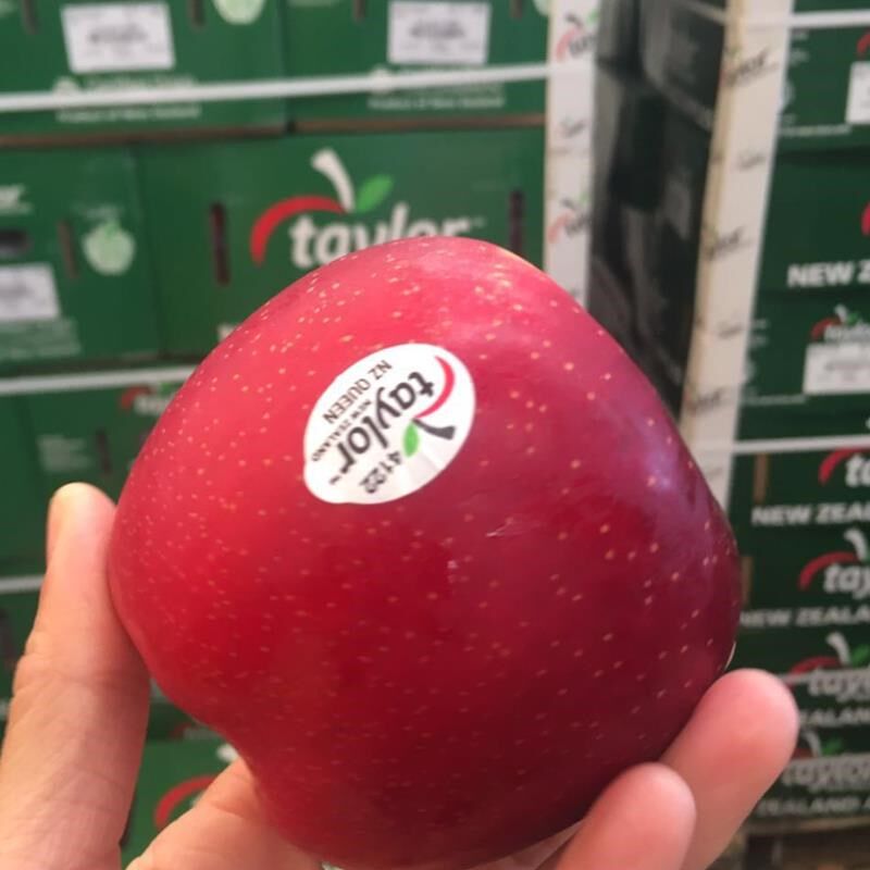 苹果新西兰taylor泰勒4122红玫瑰进口皇后脆甜新鲜苹果