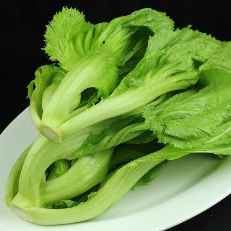 长耕高钙菜种籽水东鸡心芥菜种子广东东特速生家庭园艺种子