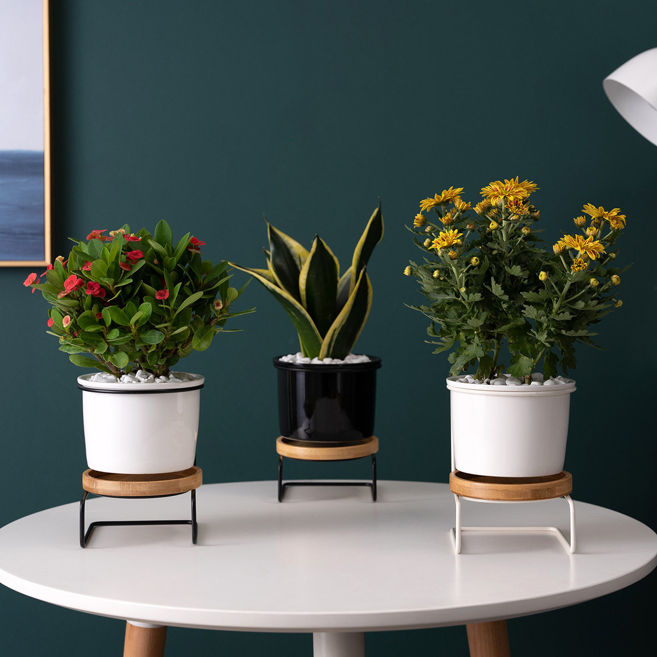 北欧简约创意现代几何多肉陶瓷绿植花盆盆栽花盆