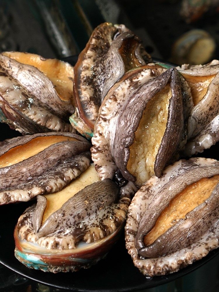 鲍鱼鲜冻青岛新鲜海海鲜水产1斤装12只包邮贝类手机保护套