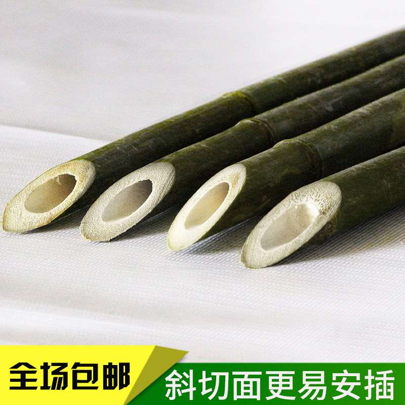 家舞各种规格菜竹竿子种菜园搭B架黄瓜跳用豆角蔬细园旗杆竹篱笆 - 图1