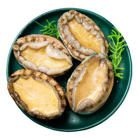 鲍鱼鲜活冷冻特大新鲜海贝类活体体大青岛海鲜鲍鱼