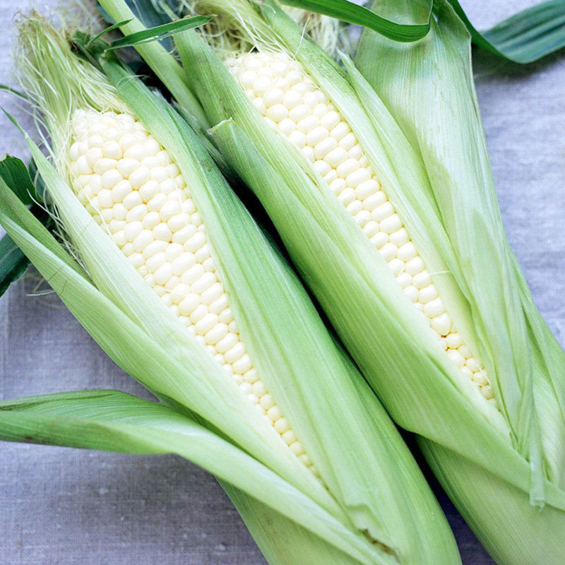玉米珍真真棒雪玉白糯种子子白甜糯鲜食籽特家庭园艺种子