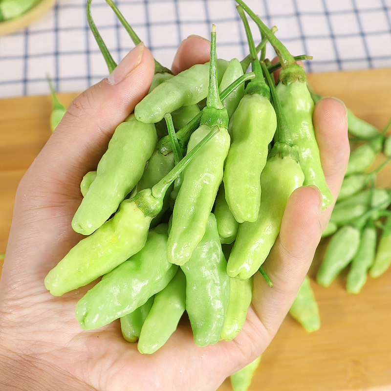新鲜辣椒云南野山白米椒特辣泡产地地直小米椒辣椒