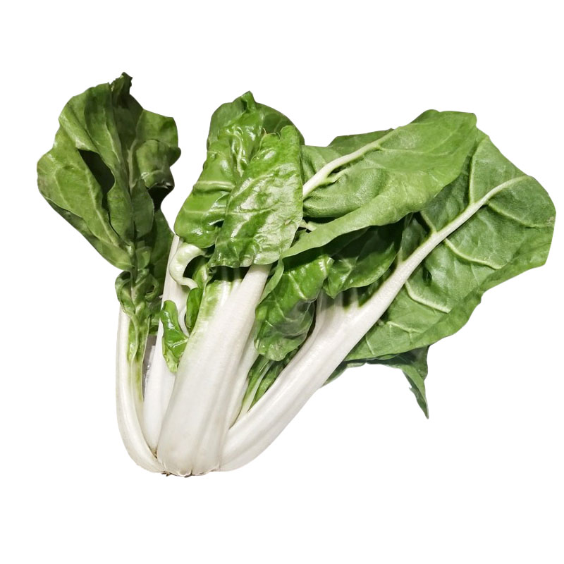 厚皮菜种子四川春不老白梗牛皮菜种籽根达菜莙达菜大叶四季蔬菜孑