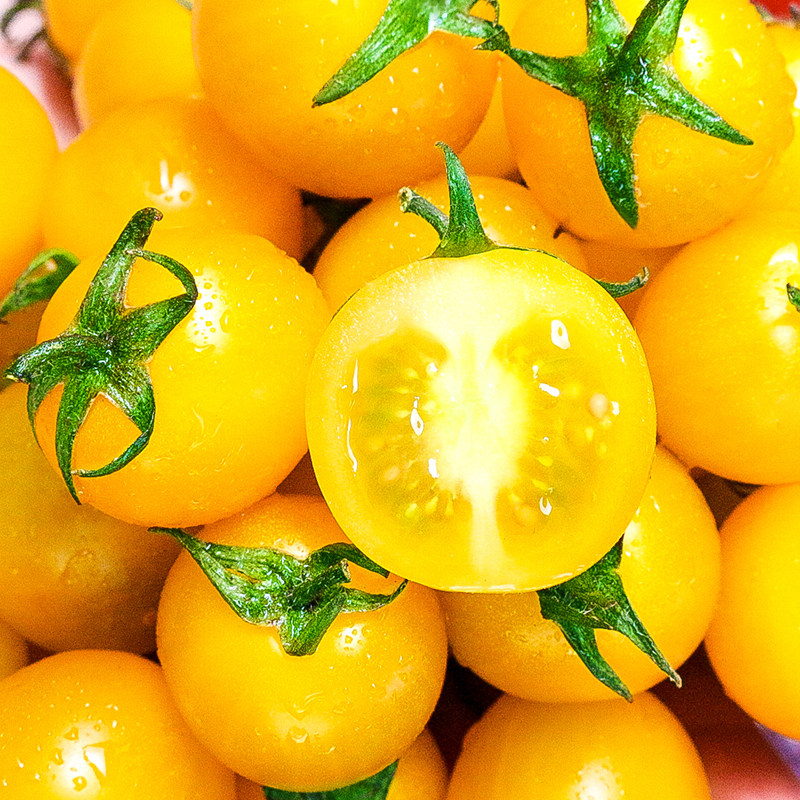 千禧夏日阳光圣女果双拼樱桃小番茄柿子新鲜采摘番茄