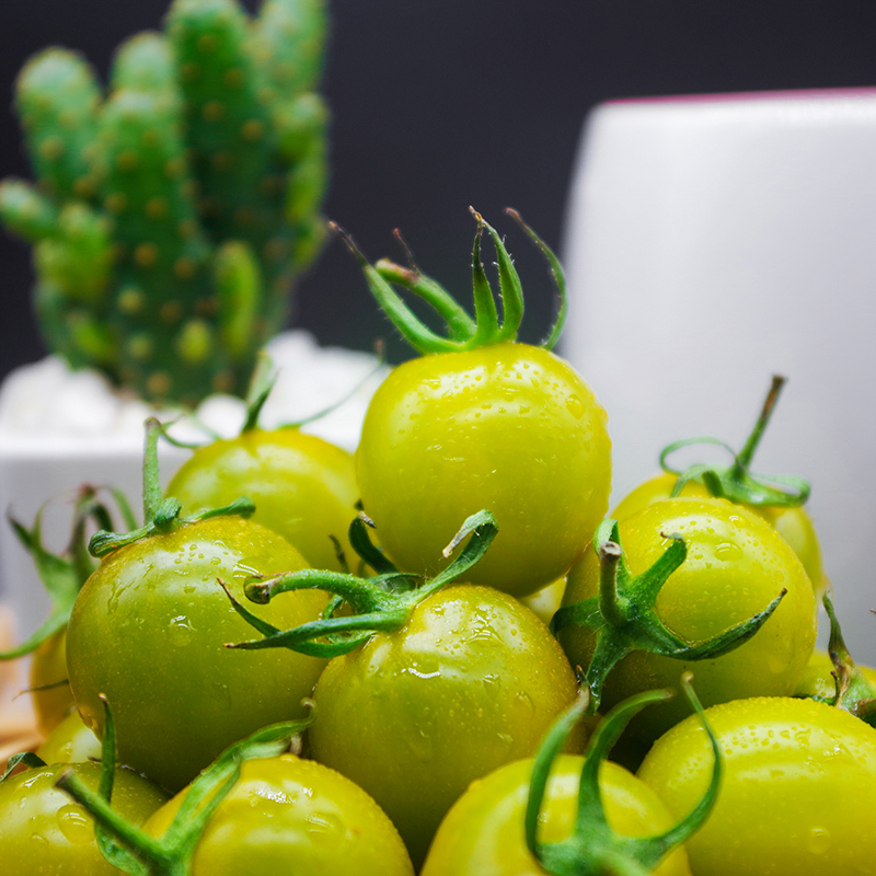 寿光绿色圣女果蜜新鲜绿千禧玲珑纯甜小番茄柿子番茄