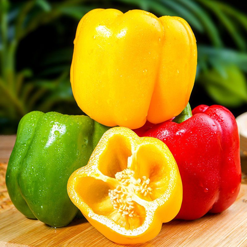 山东寿光新鲜灯笼彩椒9斤辣椒五彩红黄水果辣椒