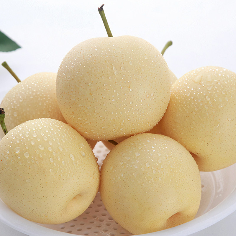 河北正宗皇冠梨新鲜梨子9斤整箱雪梨水果脆甜多汁特级应季