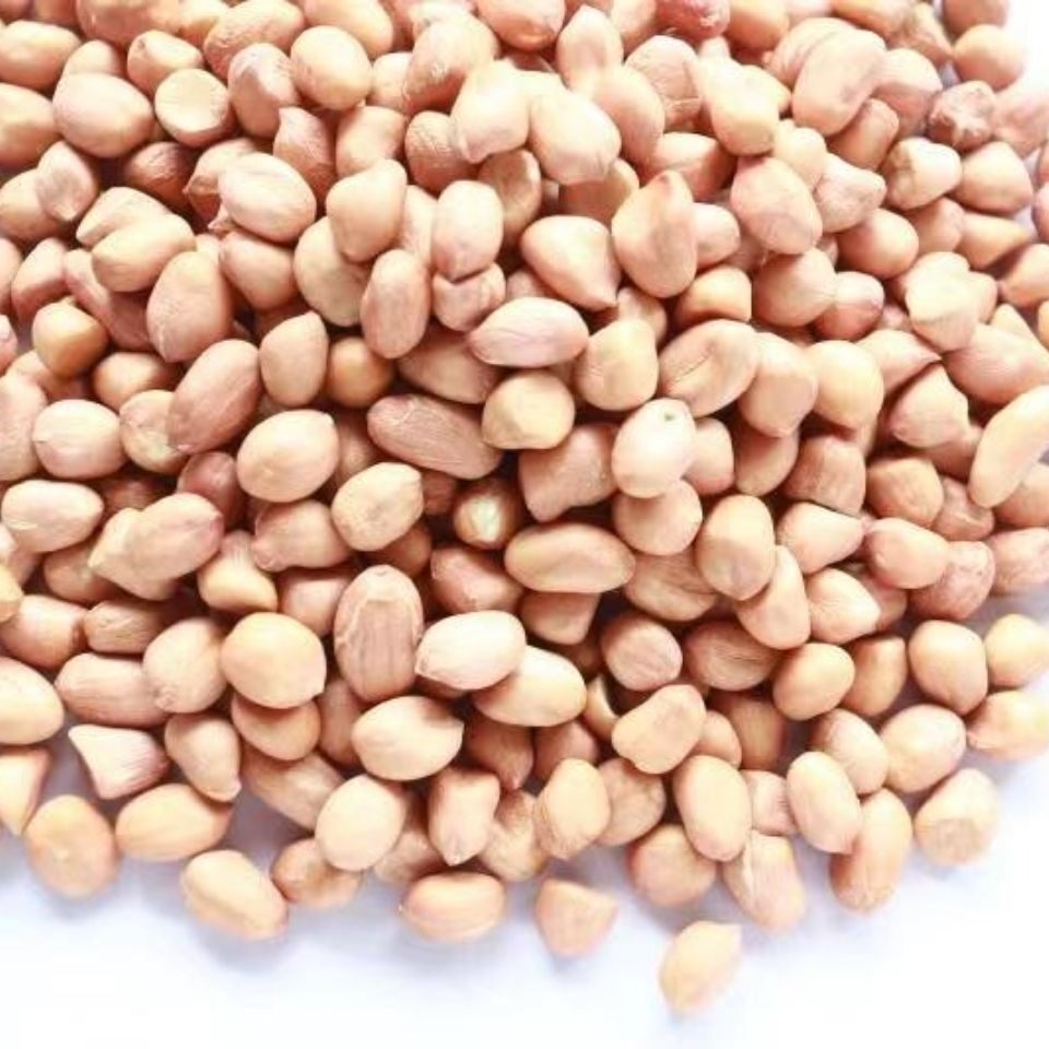 优质白沙花生米去壳可以农家自种手散装花生