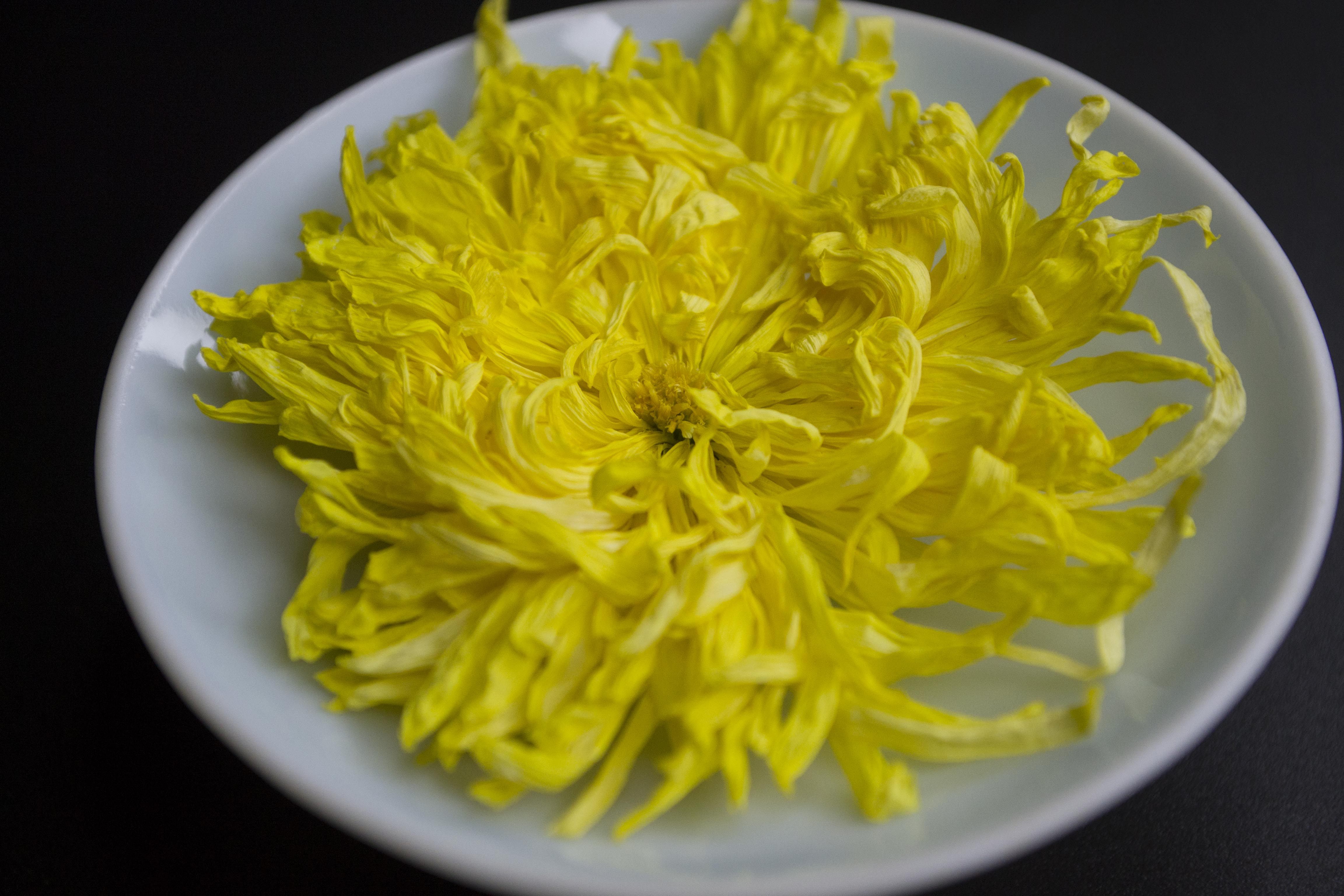 菊花花茶金丝皇菊胎菊贡菊金银花正品一朵一杯代用