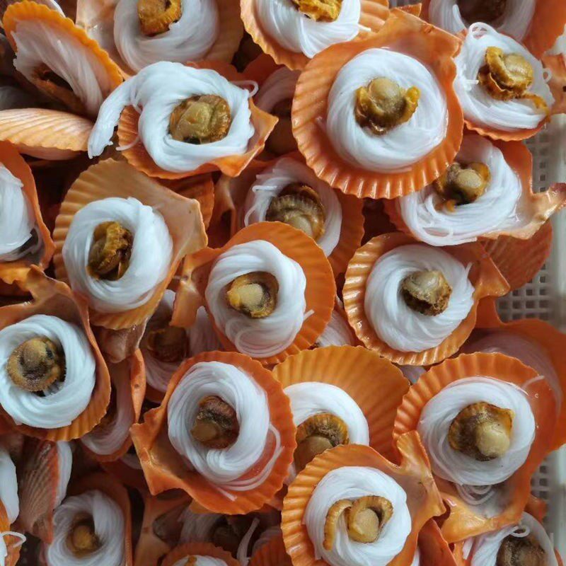 扇贝新鲜冷冻粉丝黄金贝金贝蒜蓉烧烤200粒自助餐手机保护套