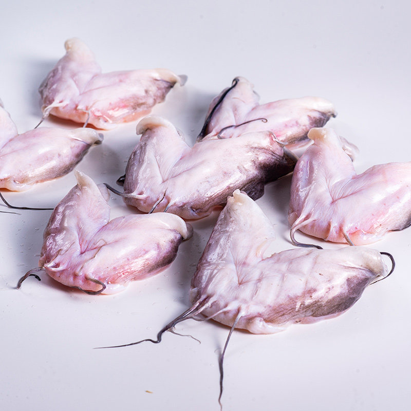 汇海盈清江鱼下巴冷鲜鮰鱼350g冷冻水产餐饮淡水鱼类