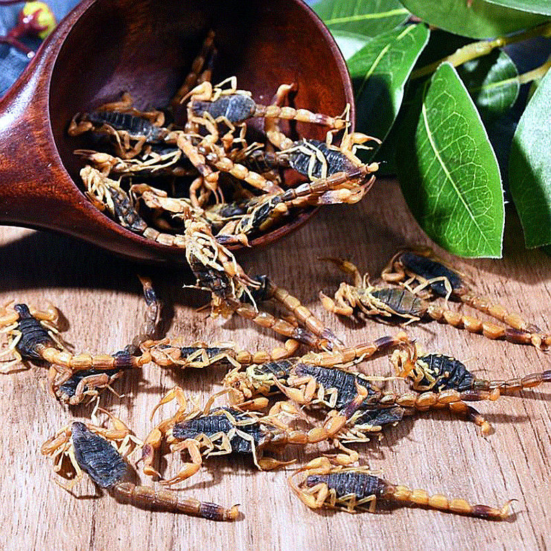 中药材蝎子粉干清水全虫全蝎50g另有蜈蚣地龙其他药食同源食品