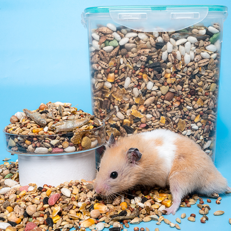 ĳׯ԰_֧ׯ԰ô_Ž϶Ƶ