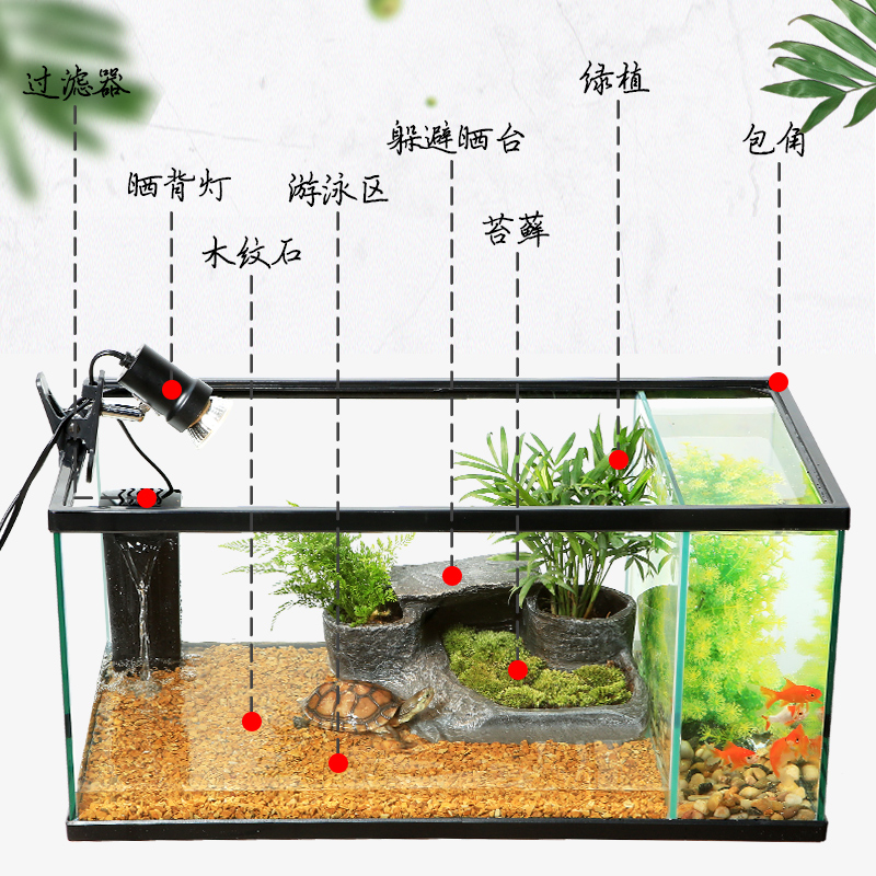乌龟水陆玻璃缸带晒台生态缸养鱼缸龟缸鱼龟桌面缸