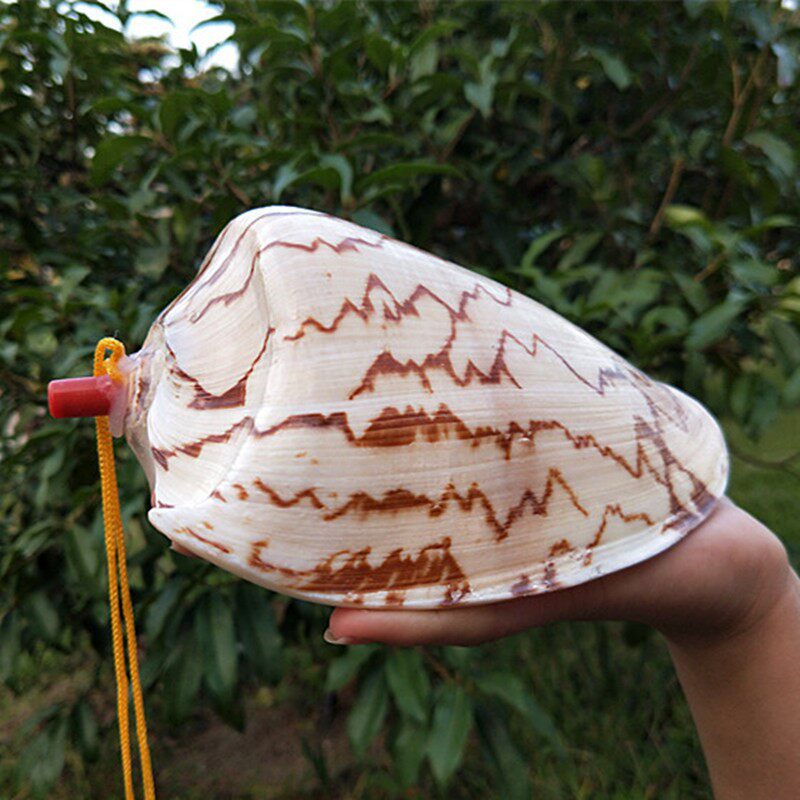 高档小叭大海海螺可吹哨响乐器挂件儿童玩具喇孩海螺