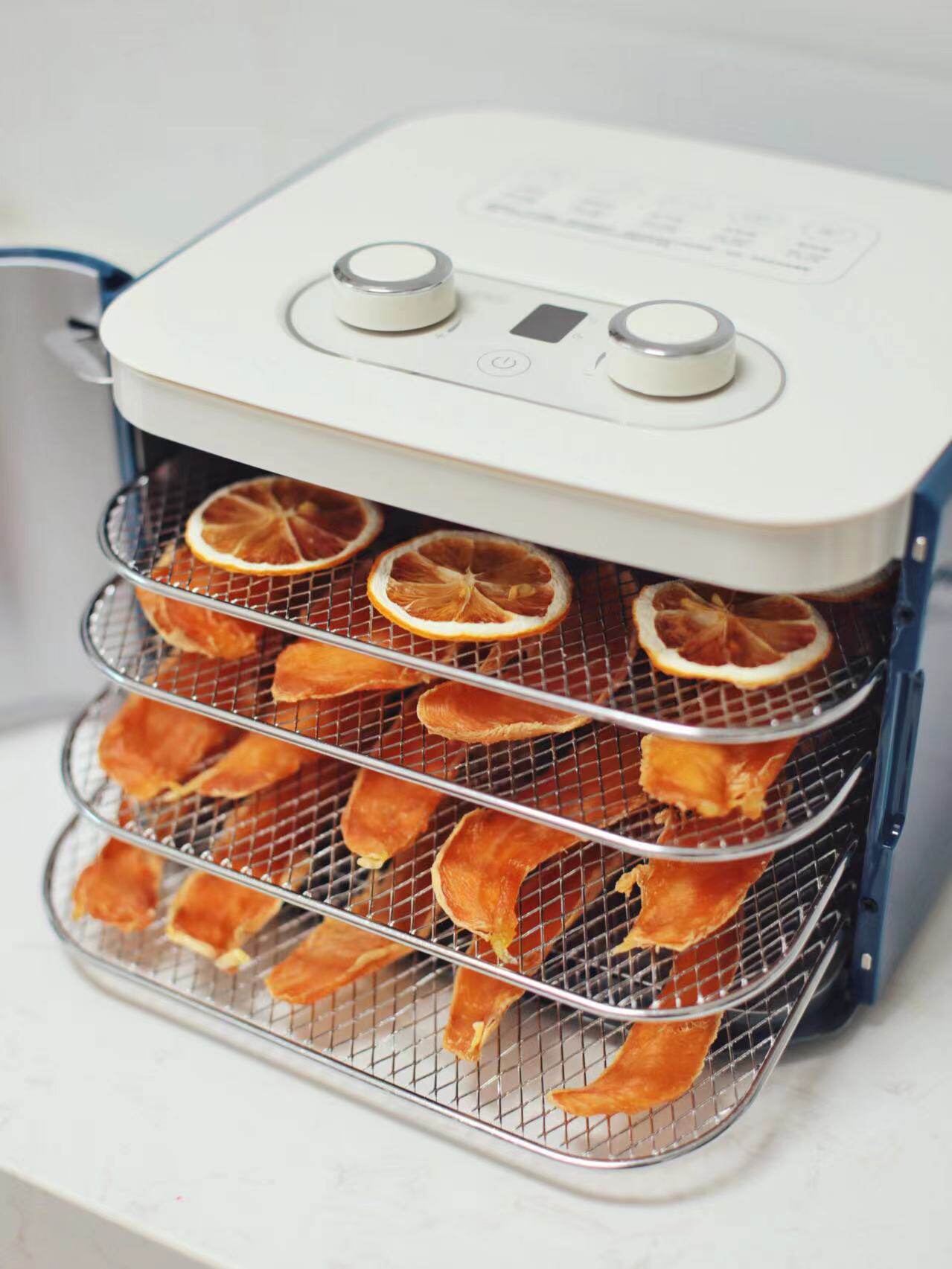 英国摩飞干果机水果食物烘干机家用食品风干机小型食物烘干机