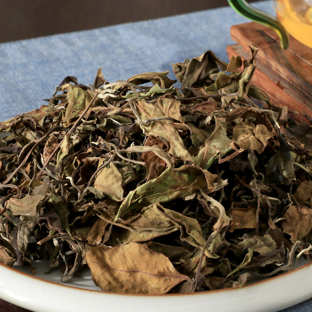 三勤堂荒野种茶大叶古树高山白茶武高山南易云南白牡丹