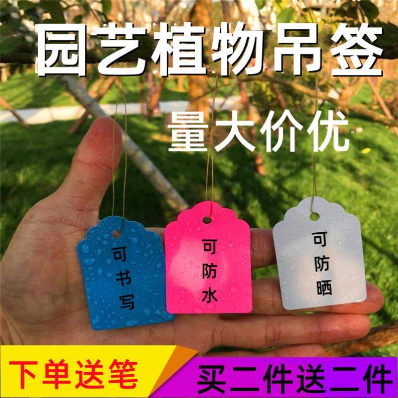 园艺植物名称标签花卉吊牌庭院盆景悬挂小卡其它园艺用品