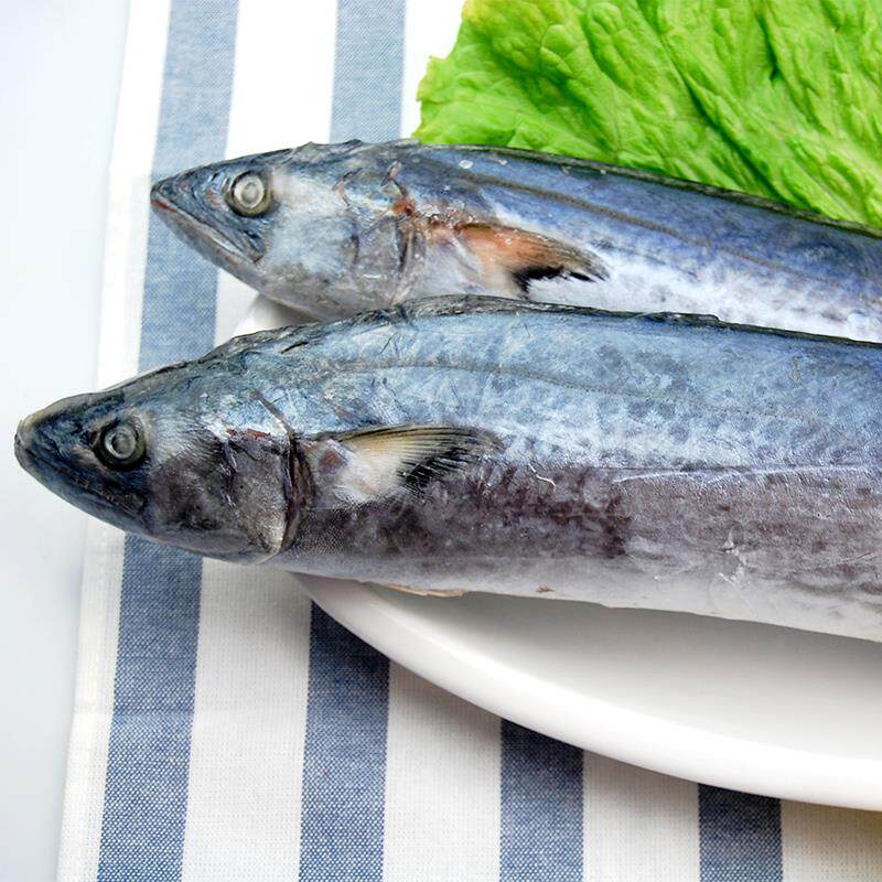 10斤115斤青岛鲅鱼新鲜鲜活冷冻整条海鱼大鱼笔记本零部件