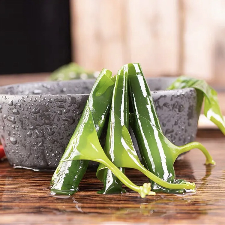 牧帆福建霞浦头水嫩芽盐渍海带新鲜裙带脂肪裙带菜