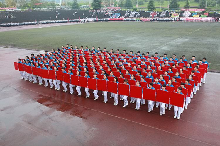 色走道具旗帜板演方阵图表运动会拼图方队入场更多啦啦队配饰