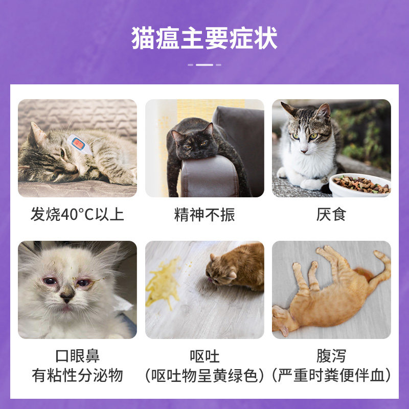 猫瘟检测安琳试纸fpv细小病毒宠物呕吐拉稀试纸