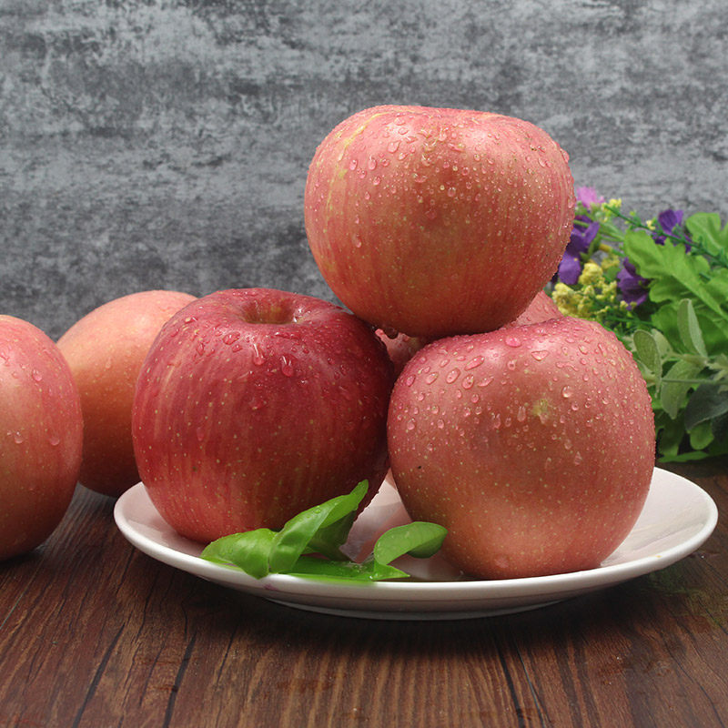 果加正宗新西兰进口小苹果水果新鲜姬娜苹果力果苹果