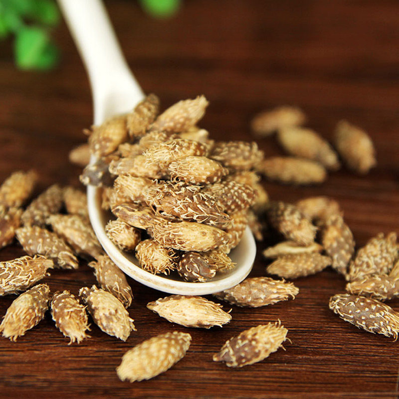 苍耳中药500g野生仓耳泡茶可磨中药材正品其他药食同源食品