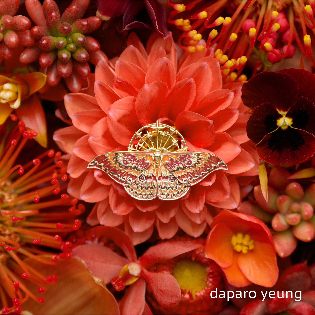 daparoyeung达普普罗天蚕蚕蛾蝴蝶女男设计师情侣胸针