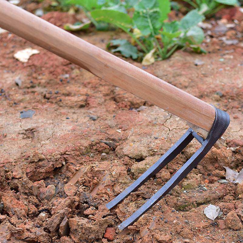 新品上市园林农用两锄头农具全钢挖土种地挖地翻地锄头