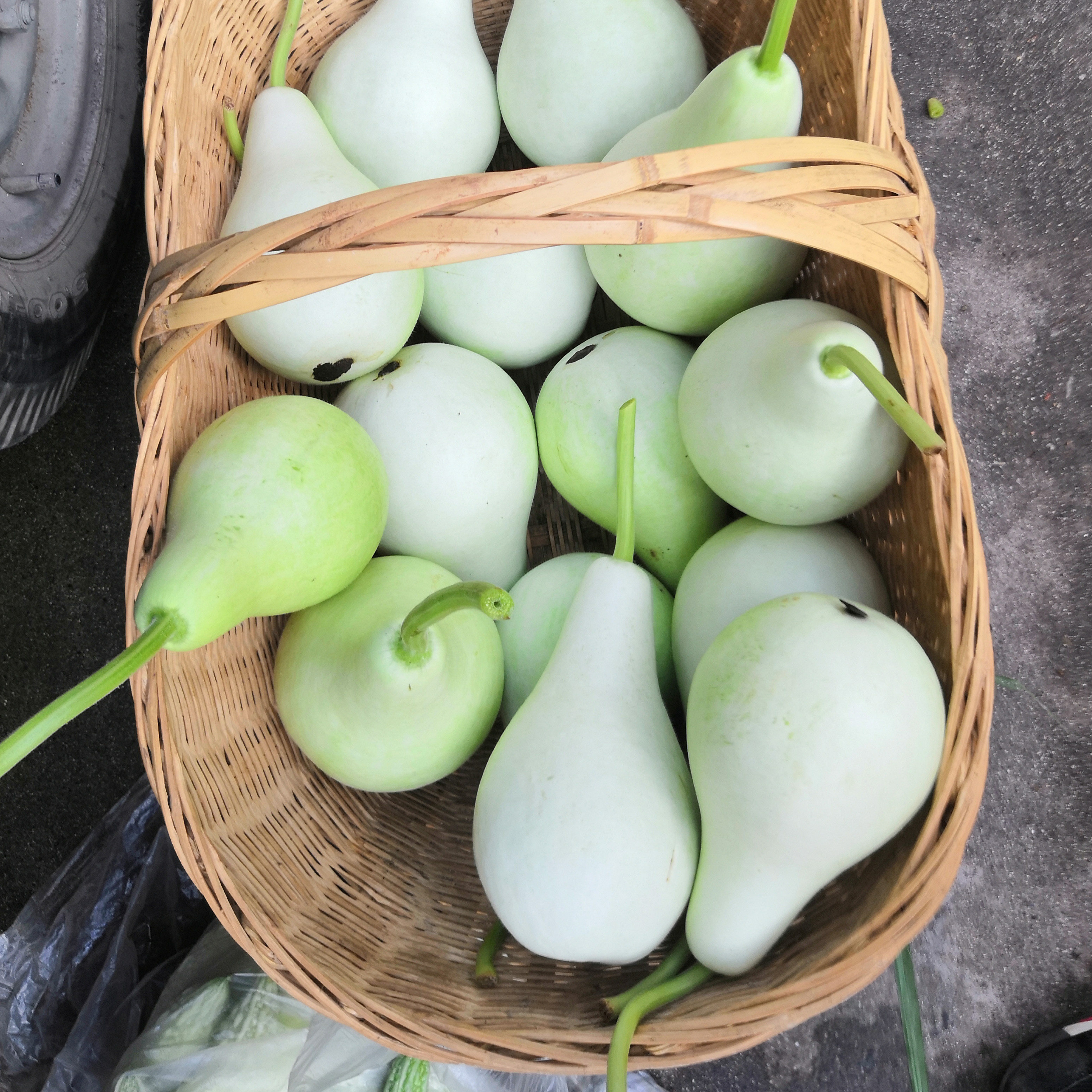 葫芦新鲜蔬菜瓜田蒲菜短瓠瓠瓜瓜包其它