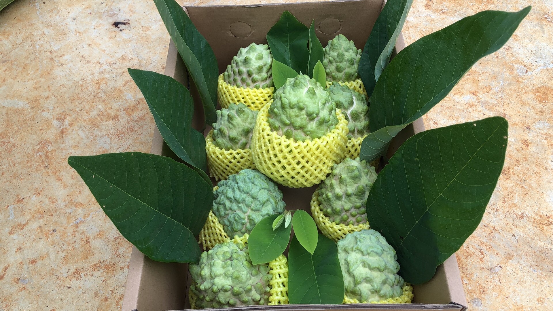 释迦大果荔枝现货当季新鲜采摘源头直发5斤番荔枝