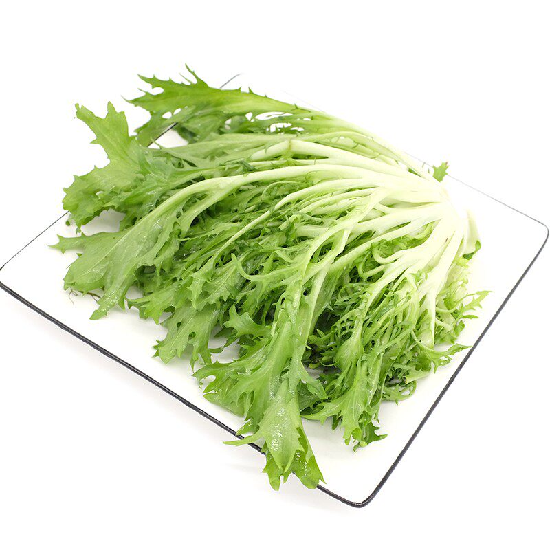 绿行行者苦细叶生菜苦菊凉拌拌菜鲜苦苣菜蔬菜叶菜类