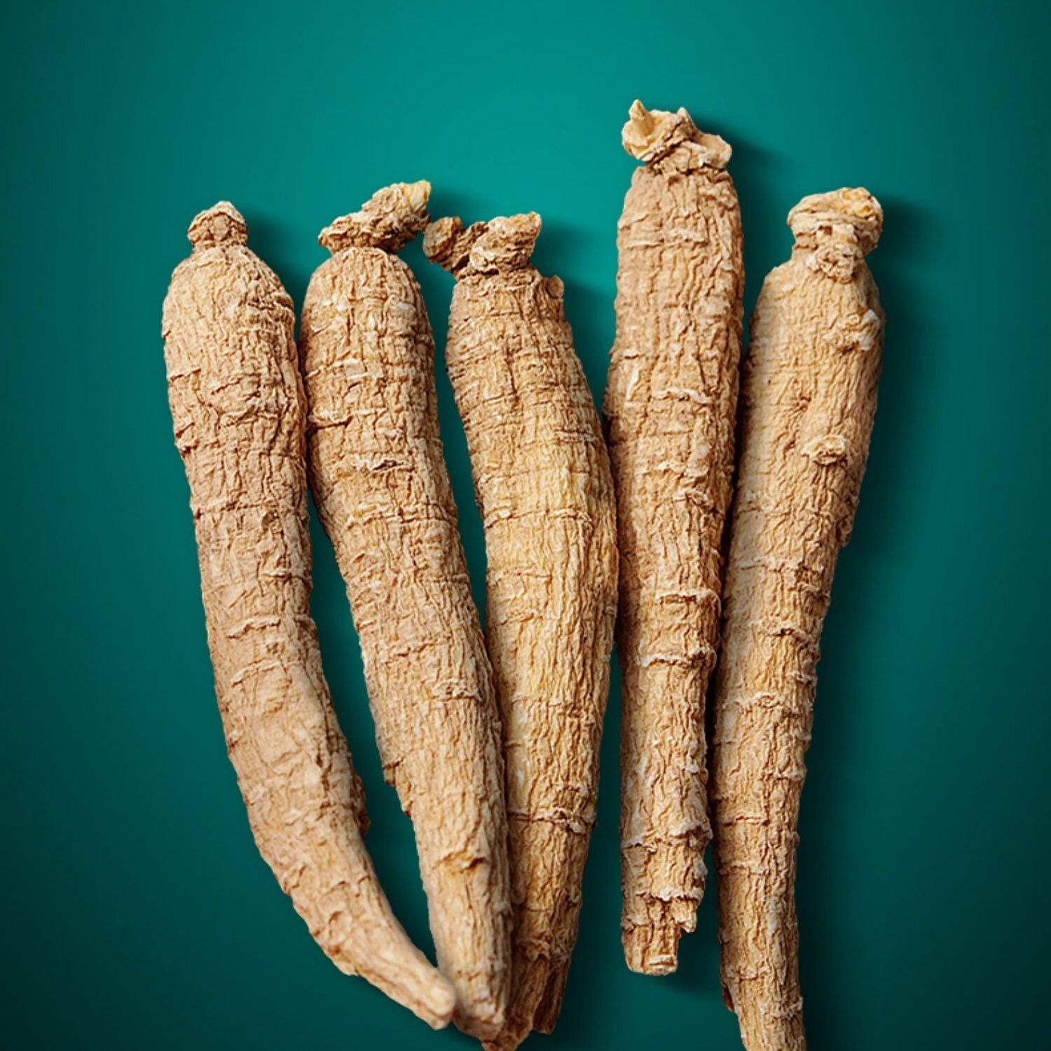 正宗西洋参1克1根含片文登长白山新鲜整枝切片西洋参及其制品