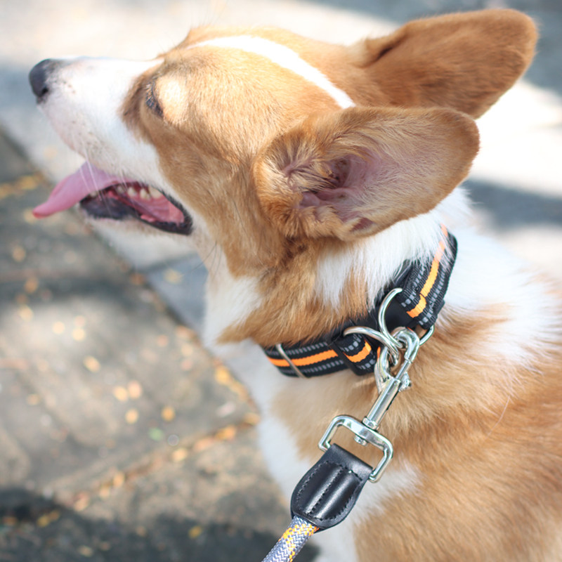 中大型狗狗项圈狗圈颈圈脖圈柯基金毛拉布拉多脖套项圈