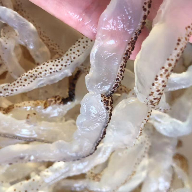 野生珊瑚海蜇白花海蜇丝非即食海蜇头爽脆无沙海蜇皮凉拌5斤包邮