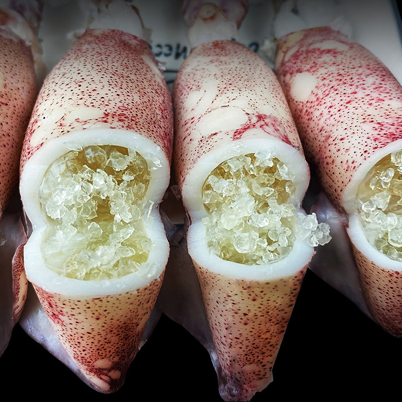 满籽3盒装海兔兔子生鲜水产发海笔管鱼活籽乌笔管鱼