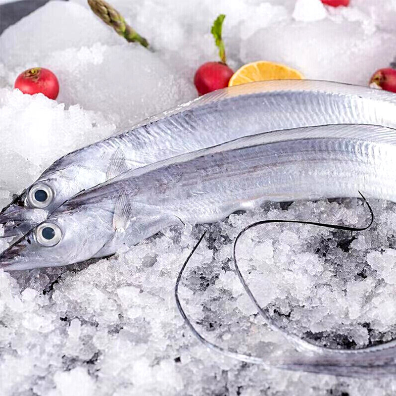 星龙冷冻海鱼大海水产中段刀鱼小眼睛海鲜新鲜带鱼