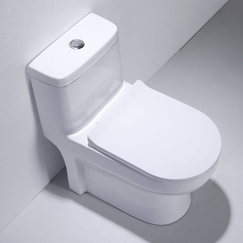 尊驰卫浴马桶坐便器直冲连体家用座便器节水普通儿童坐便凳