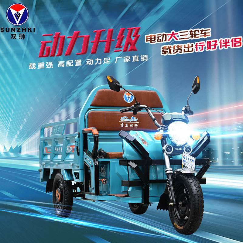 三轮车双狮电动新款成人代步拉货快递三轮车家电动三轮车