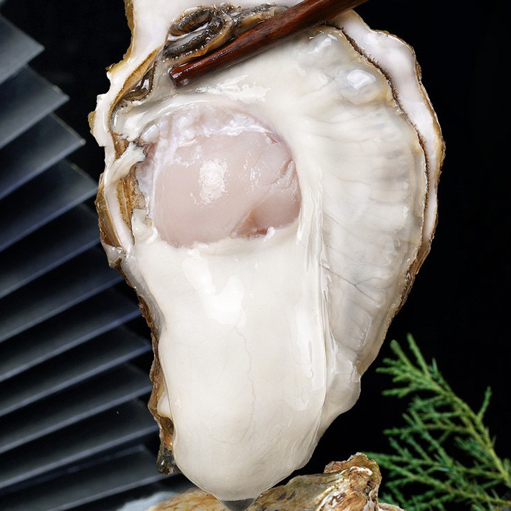 5斤活生乳山特大号生蚝牡蛎鲜活新鲜带壳生吃海生蚝