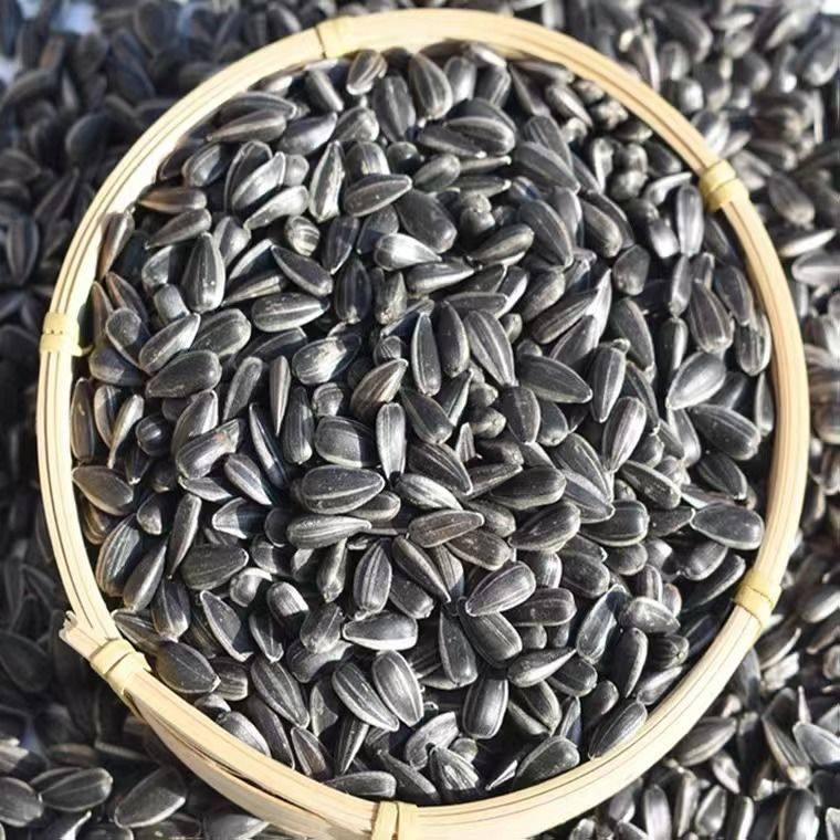 瓜子内蒙黑珍珠小瓜2斤1斤生油五香椒盐小油瓜子