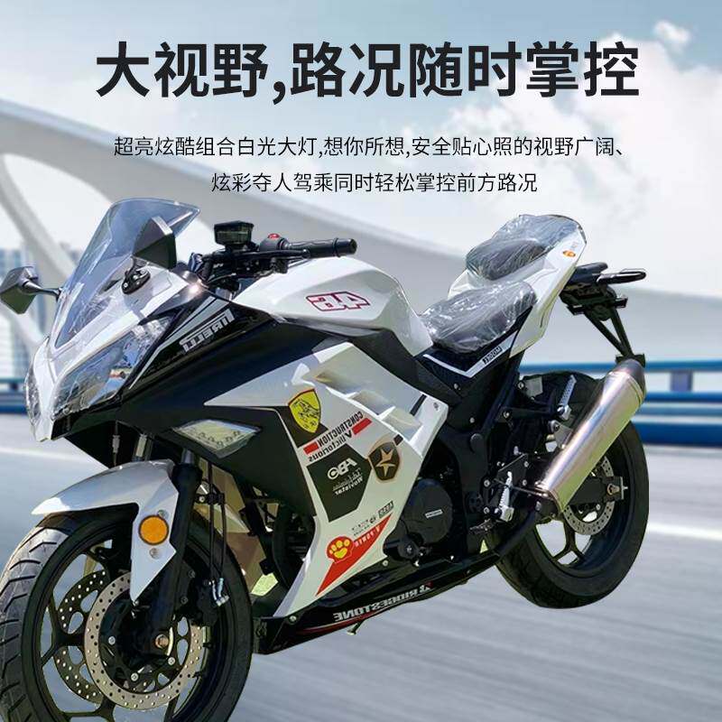 正品忍者地平线250cc北极光双缸发动机趴赛摩托车跑车摩托车整车
