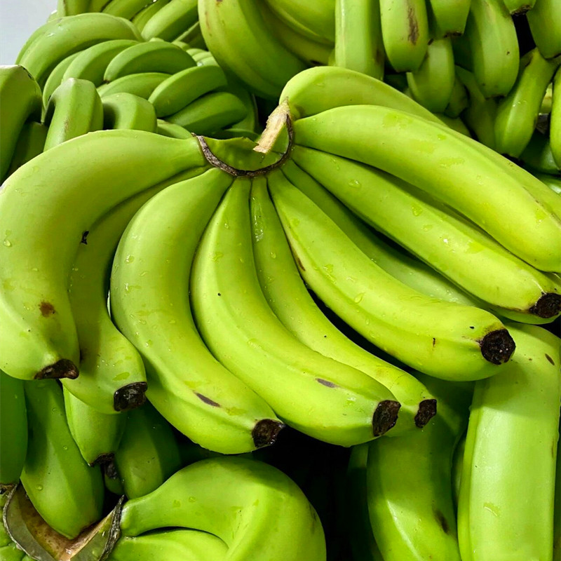 米蕉香蕉云南高山甜香10斤新鲜水果应季自然香蕉