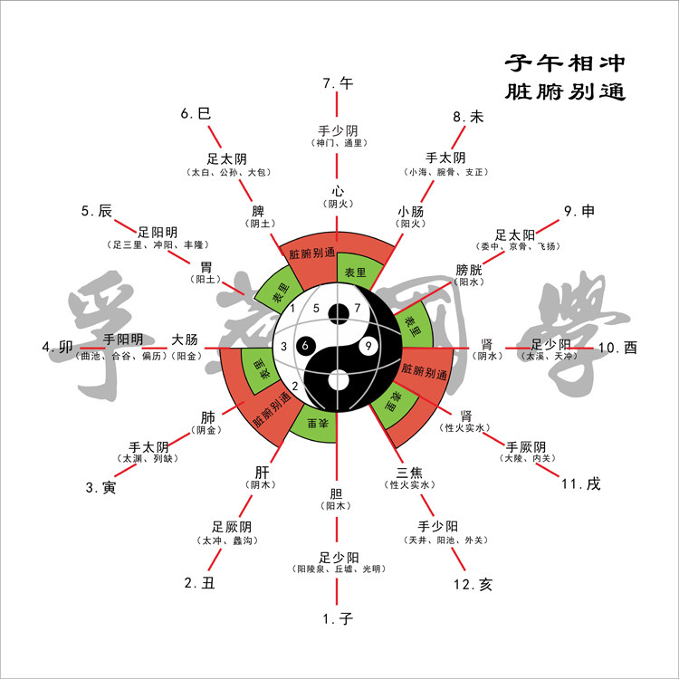 人体经络时辰对应子午相冲脏腑别通太极八卦现代装饰画