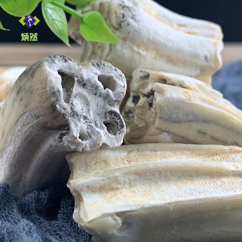龙齿100克青龙白龙齿龙齿块个牙齿化石无熏硫非其他药食同源食品