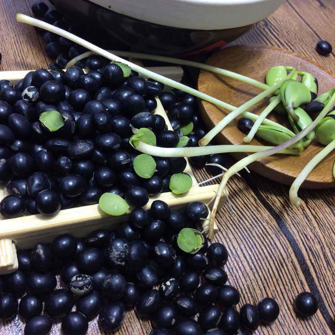 转基因黑豆农家自产有机绿心新黑小豆5斤仁打黑豆